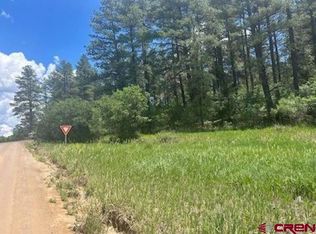 22 River Run Dr, Pagosa Springs, CO 81147