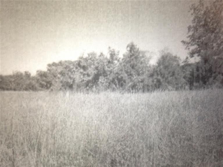 1st image of 7543 W Turkey Hatch Ct