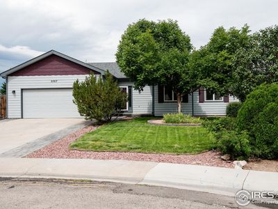 3367 Mammoth Ct, Wellington, CO, 80549