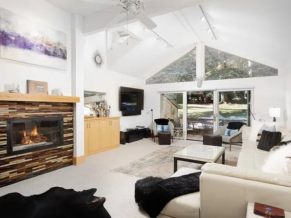 625 S West End St APT 8, Aspen, CO 81611