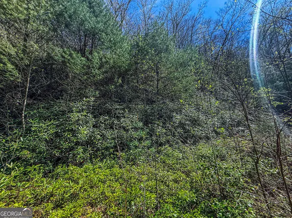 Township Road 5 Outback Ln, Rabun Gap, GA 30568