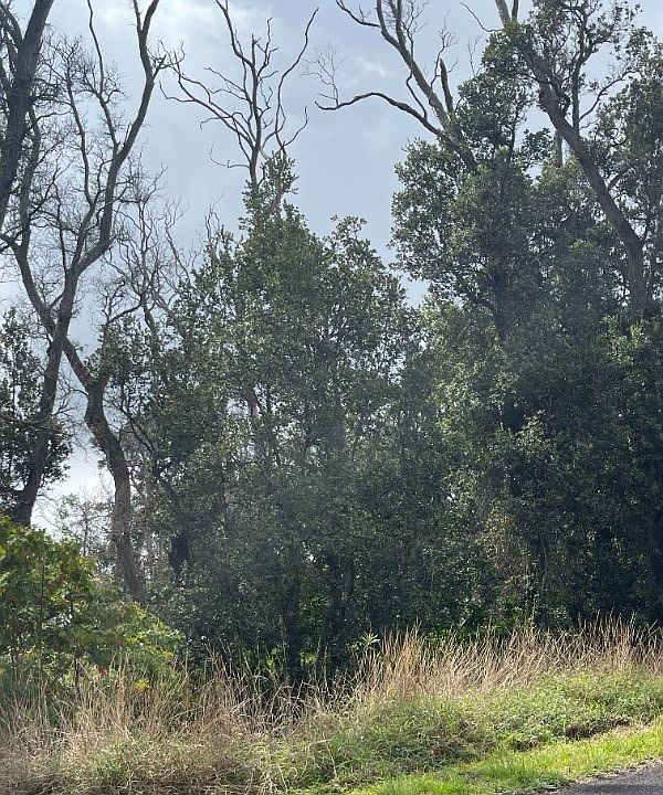 1st image of Paradise Pkwy Lot 22