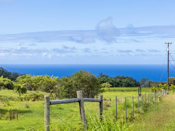 29-605 CHIN CHUCK RD, Hakalau, HI 96710