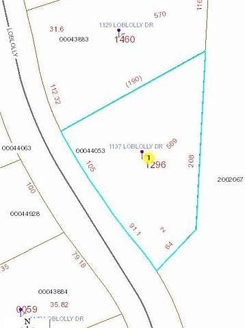 2nd image of 1137 Loblolly Dr