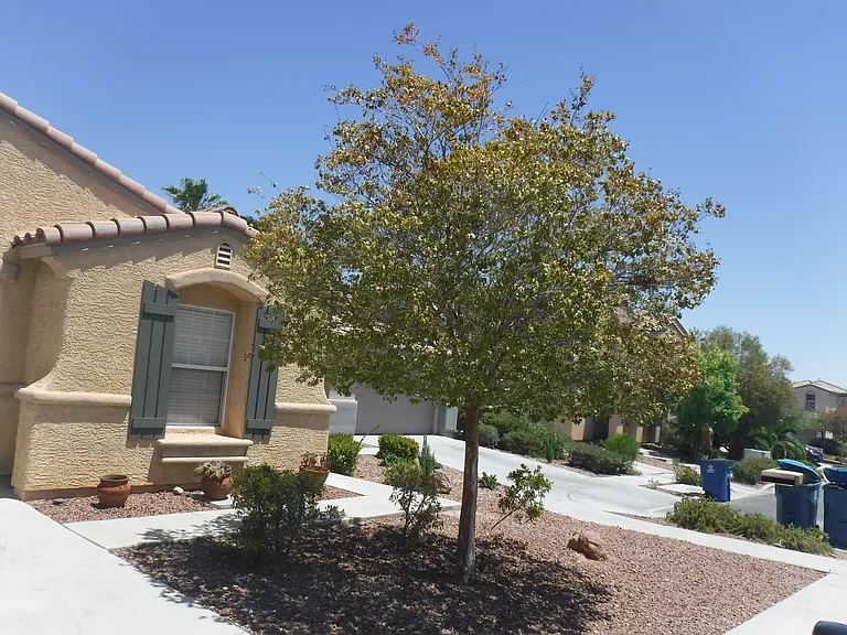 10680 Foggy Glen Ave — Photo 2