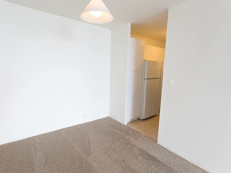 Dining/Living room