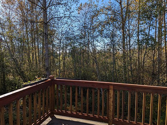 View from the patio