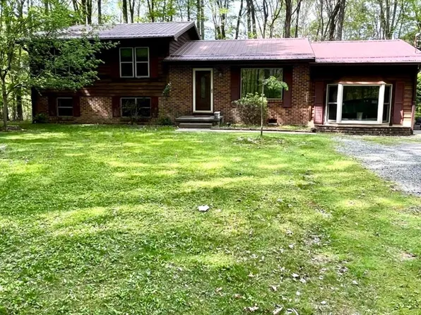 85 Happy Ln, Canvas, WV 26662