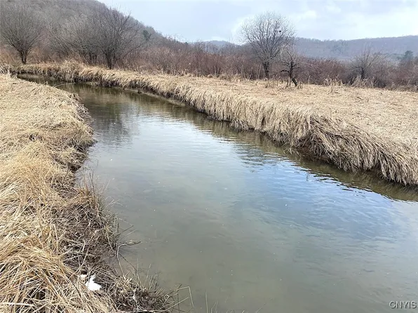 County Road 38, Alma, NY 14708