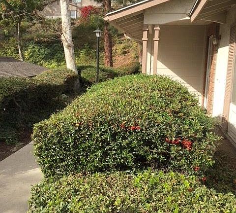 View of front door porch