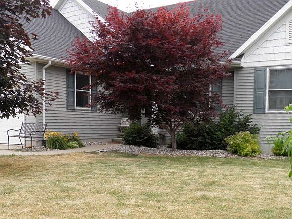 front yard maple