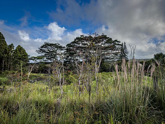2nd image of 2883 Kaiwiki Rd Lot 2