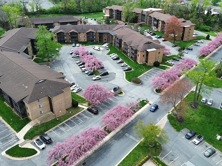 The Colony Apartments — Photo 8