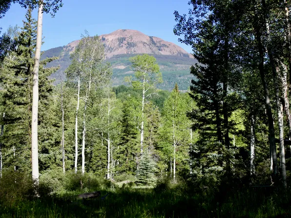 81 Waggoner Rd Lot 66, Placerville, CO 81430