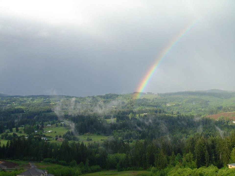 VIEW FROM LIVING ROOM