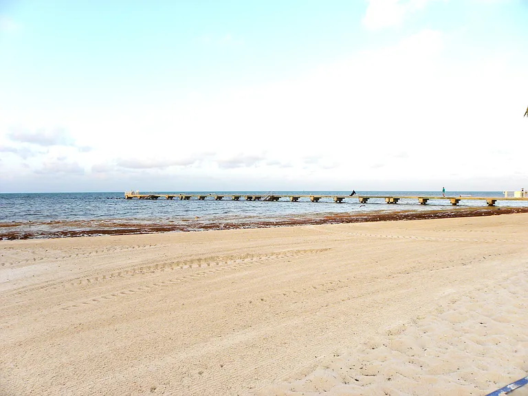 Higgs Beach & Pier - You can decend a ladder off the pier to go swimming. Or, just walk right in! There is also Fort Zachery Beach & Smathers Beach a bit further away (better reached via bike or an EV).