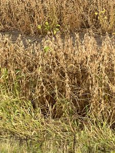 0 Tarlton Rd, Circleville, OH, 43113