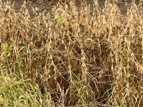 0 Tarlton Rd, Circleville, OH 43113