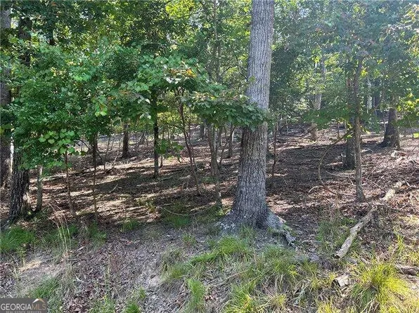242 Lakeview Cir, Waleska, GA 30183