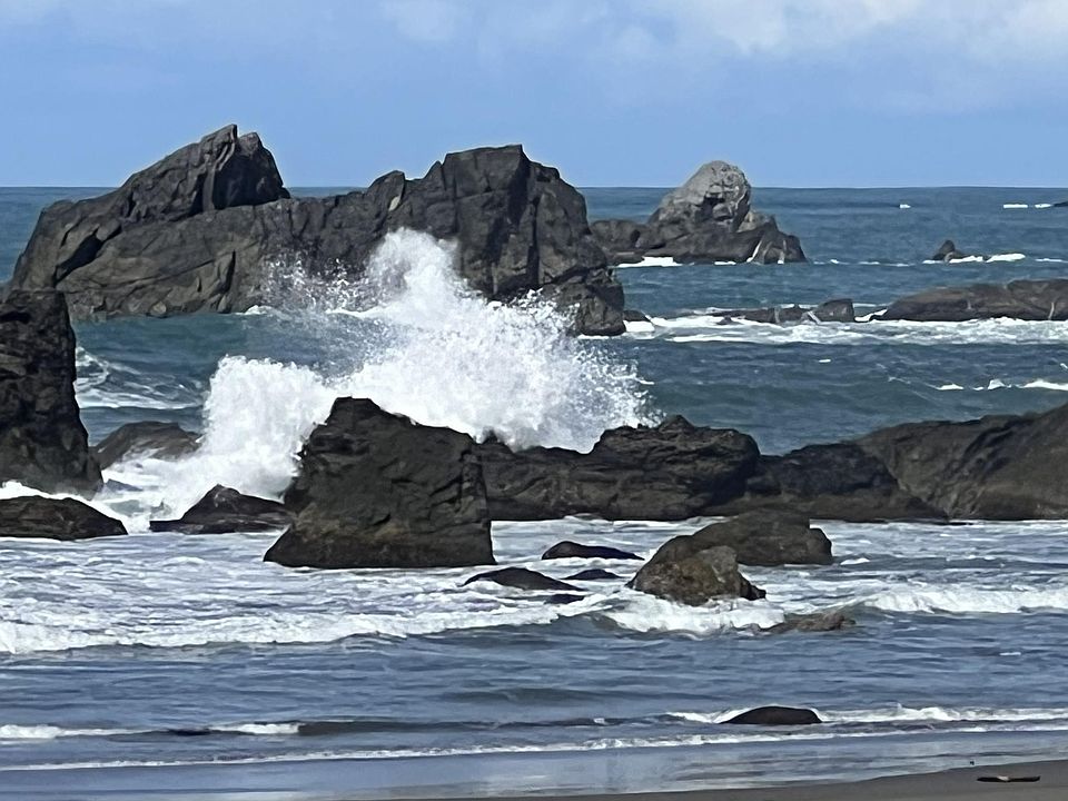 Harris Beach Nearby