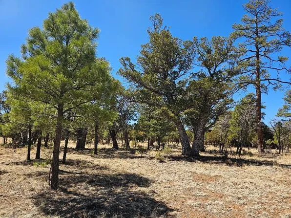 4173 Durango Dr, Happy Jack, AZ 86024