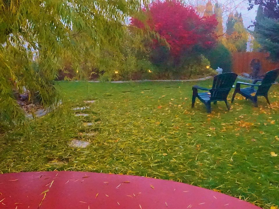 Fall Yard
