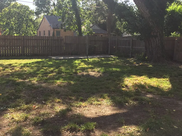 Back yard