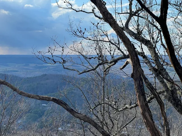 0 Dogtown Rd SE, Fort Payne, AL 35967