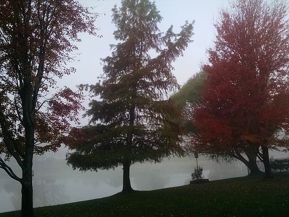 A beautiful fall morning