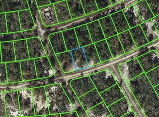 382 Hossler Ave, Lake Placid, FL 33852