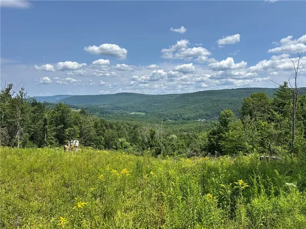 Jang Soo Way Blenheim, North Blenheim, NY 12131