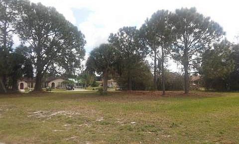 3rd image of 4507 Leucadendra Dr