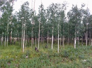 June Grass Ct, Fairplay, CO 80440