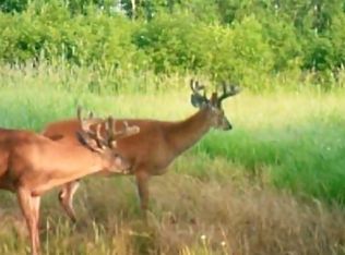 9098 Sax Rd, Forbes, MN 55738