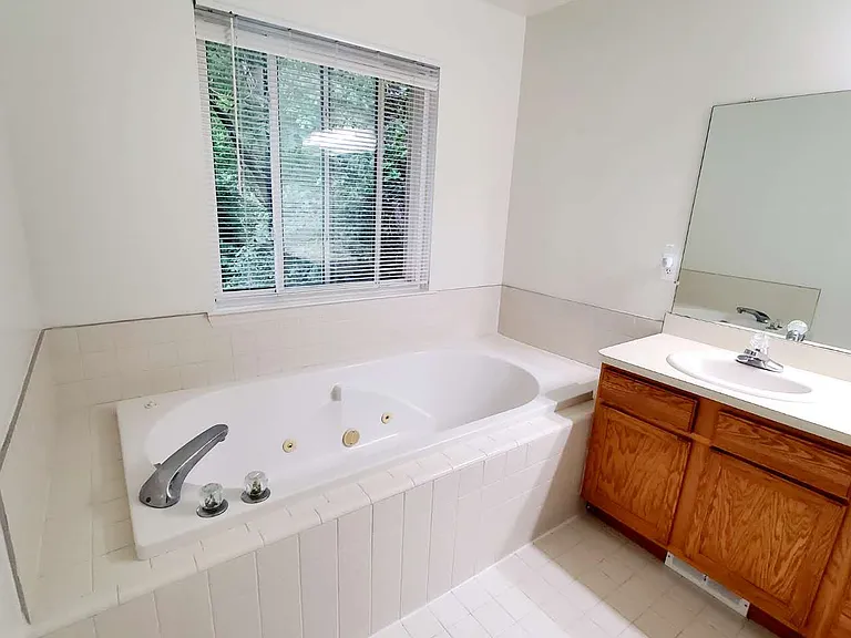 Master bathroom with jacuzzi