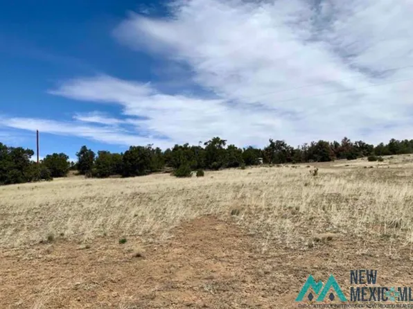18 Five Gate Rd, Pinehill, NM 87357