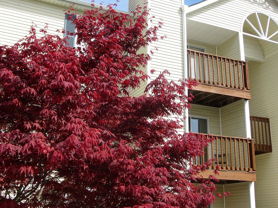 1st image of 3712 Snowdrift Cir APT 301