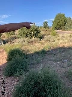 2nd image of 17 Cholla Ct