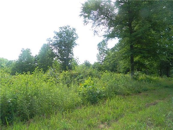 3rd image of 0 Dogwood Ln