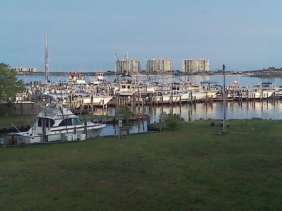 Deck View