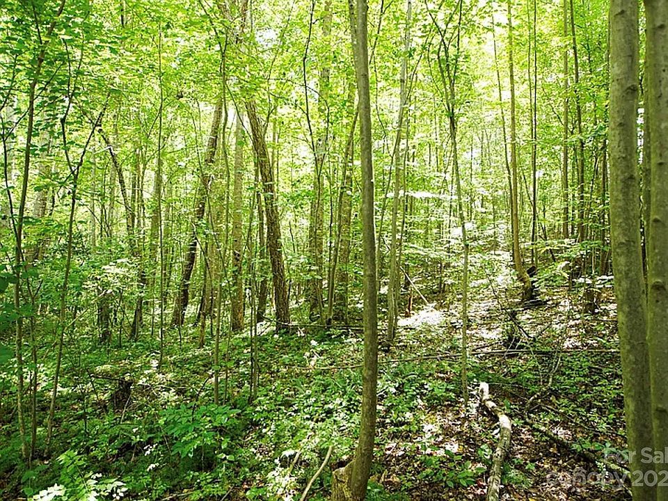 2nd image of LOT 9 Seven Springs Way