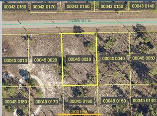 1110 Cove St E, Lehigh Acres, FL 33974