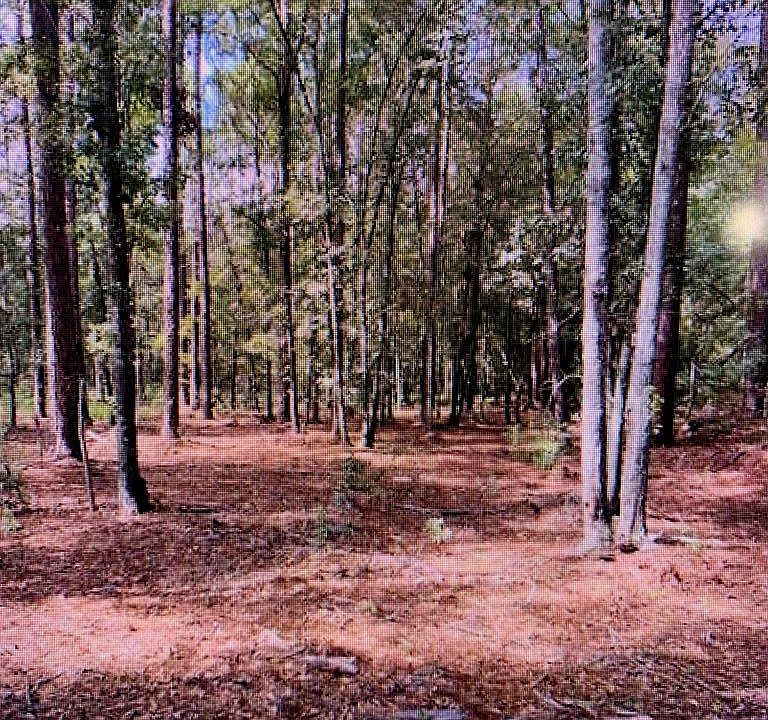1st image of 419 Claudia Dr