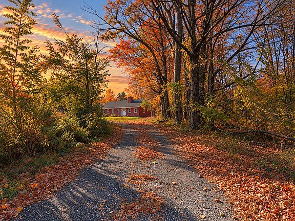5th image of 16 Cook Road