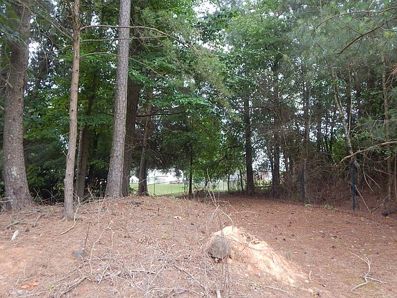 ShadyWooded Area Behind Pool