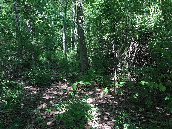 4th image of 970 George Allen Dr