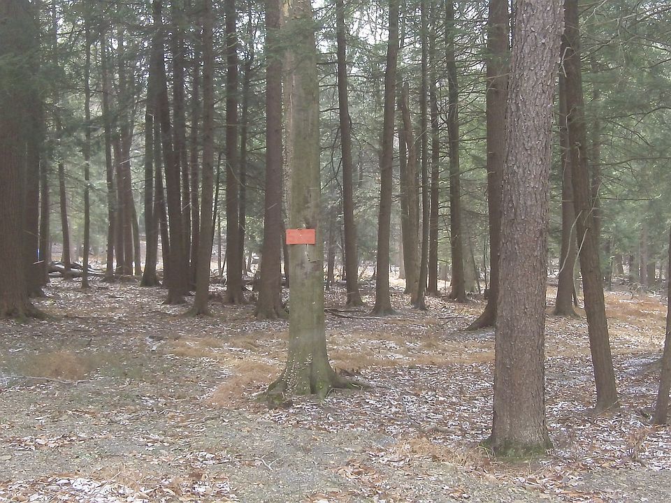 2nd image of 128 Eagle Crest
