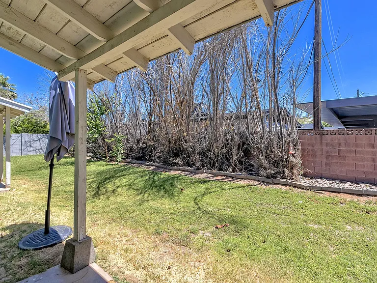 Backyard