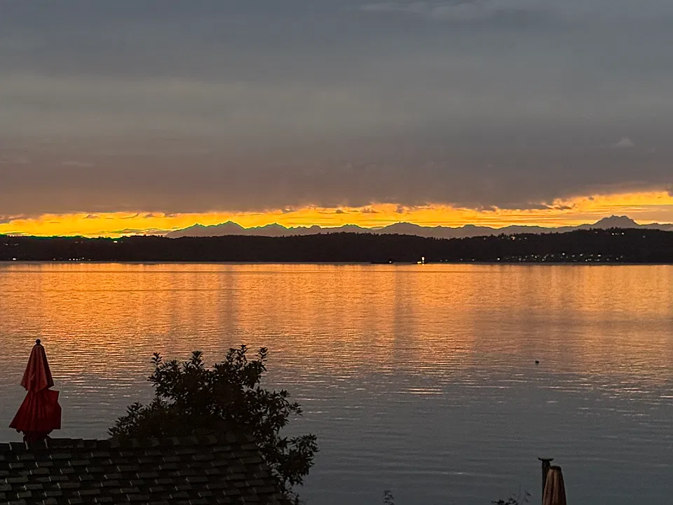 SW 292nd St