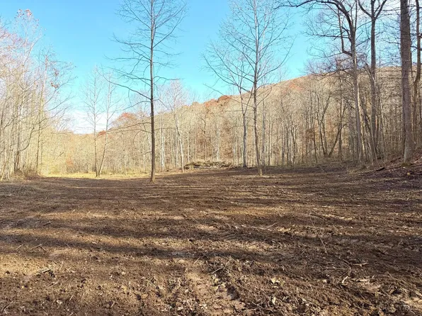 0 Chenoweth Fork Rd, Peebles, OH 45660